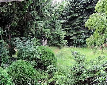 Haus Litzbruck Дюссельдорф