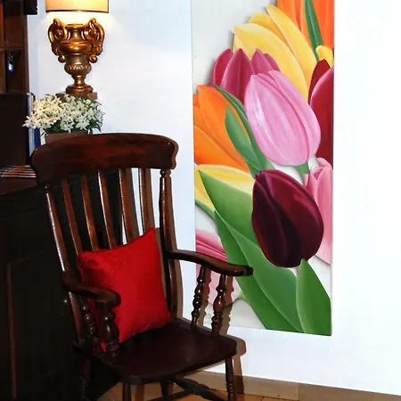 Haus Litzbruck 3* דיסלדורף