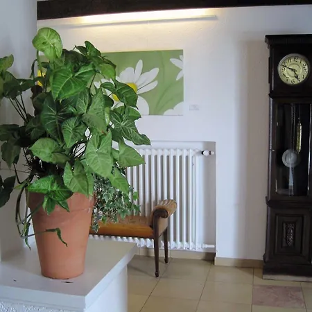 Haus Litzbruck מלון 3*